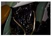 branson_pics8_79.jpg