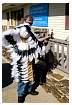 branson_pics599_117.jpg